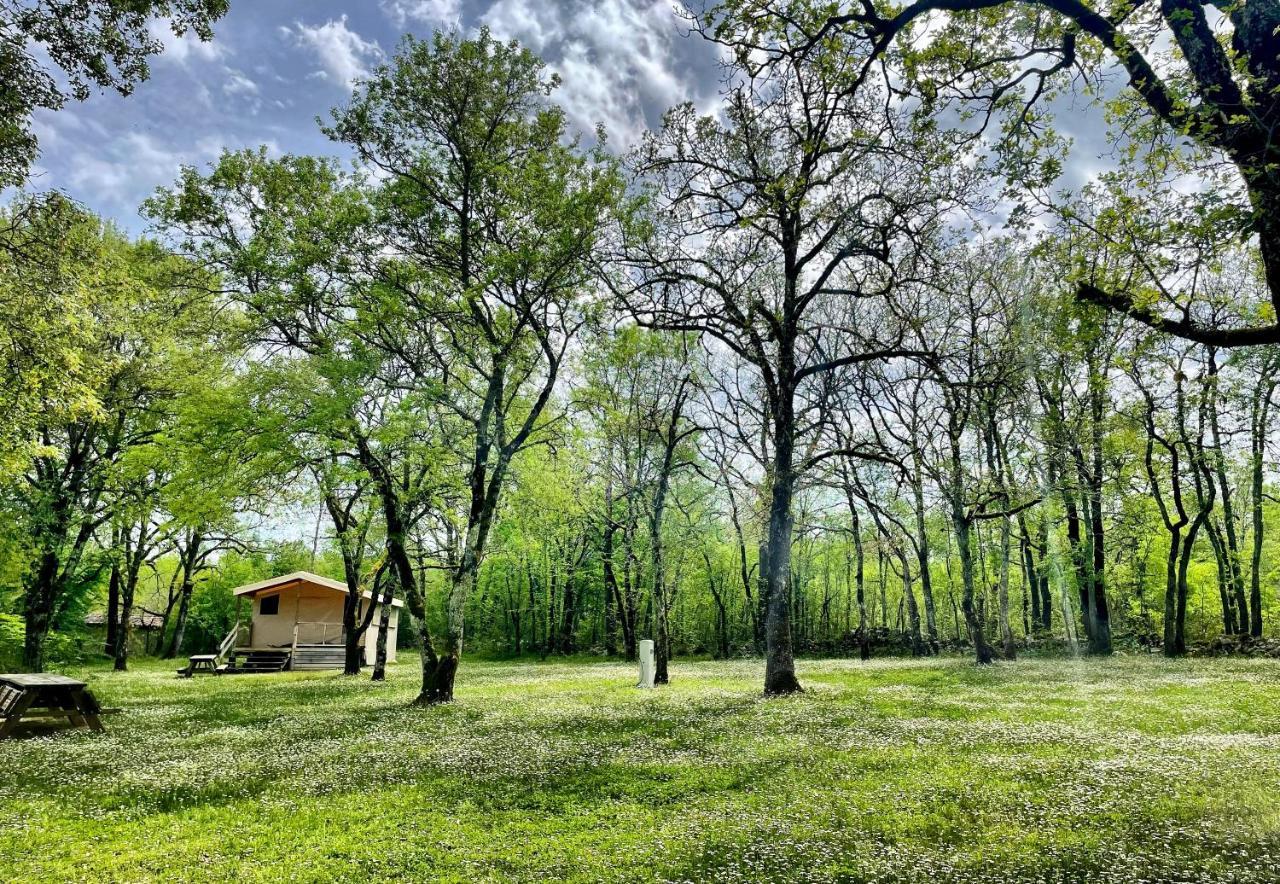 Lodges Du Bois Dodo - Ancien Camping De Bois Redon Septfonds 外观 照片